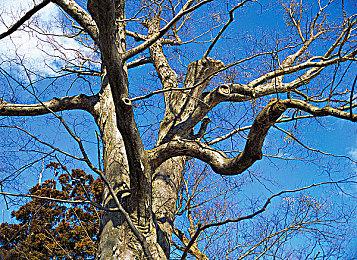 《宇宙机器人》新作成夏日游戏节愿望单最多游戏