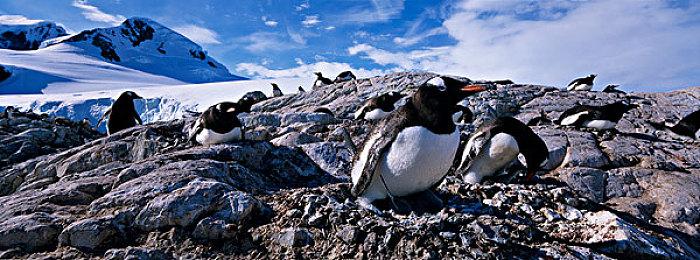 Arkane表示《死亡循环》PC版卡顿问题正在调查中